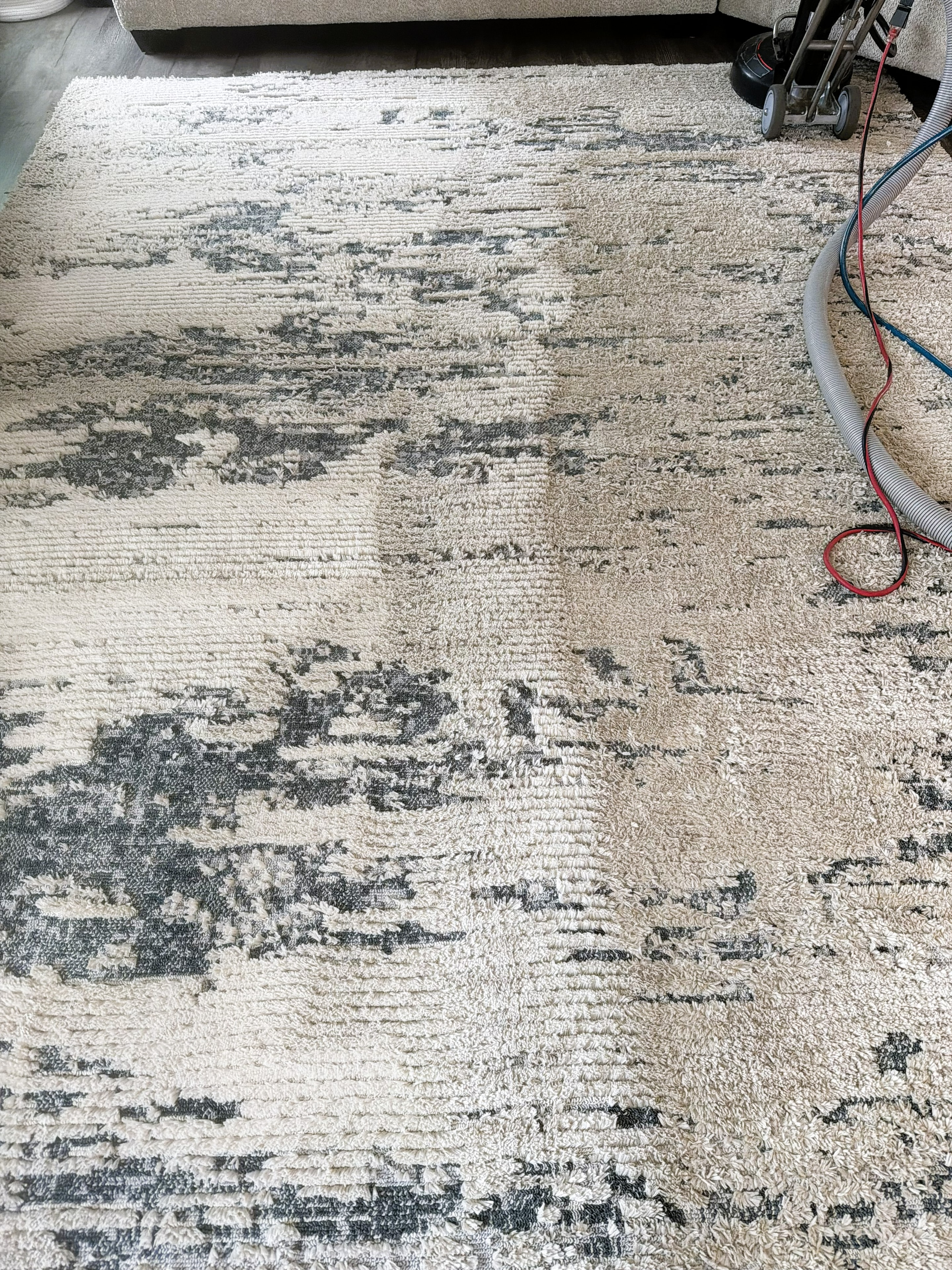 Area rug cleaning in progress. Patience pays off.