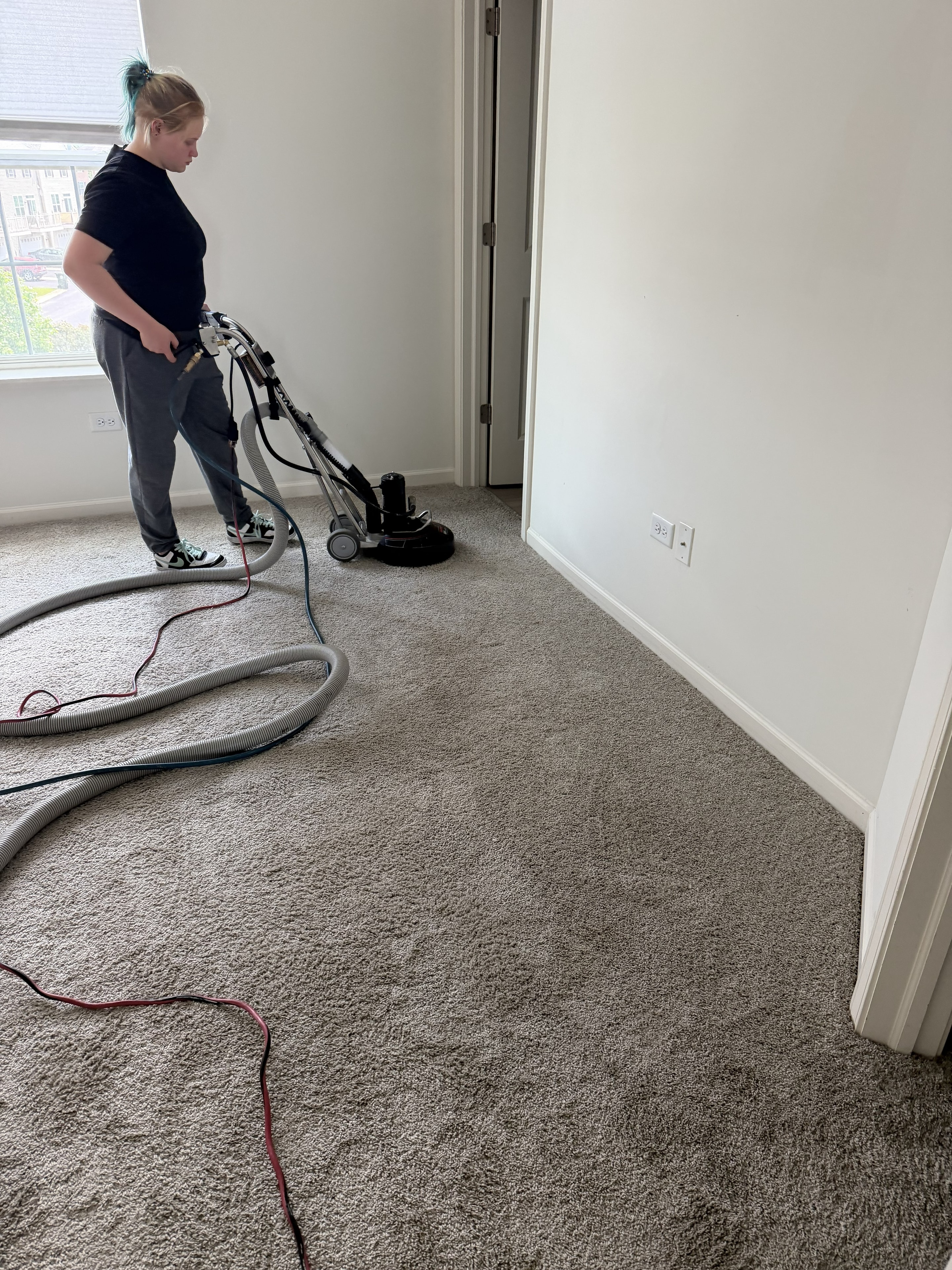 Carpet Cleaning