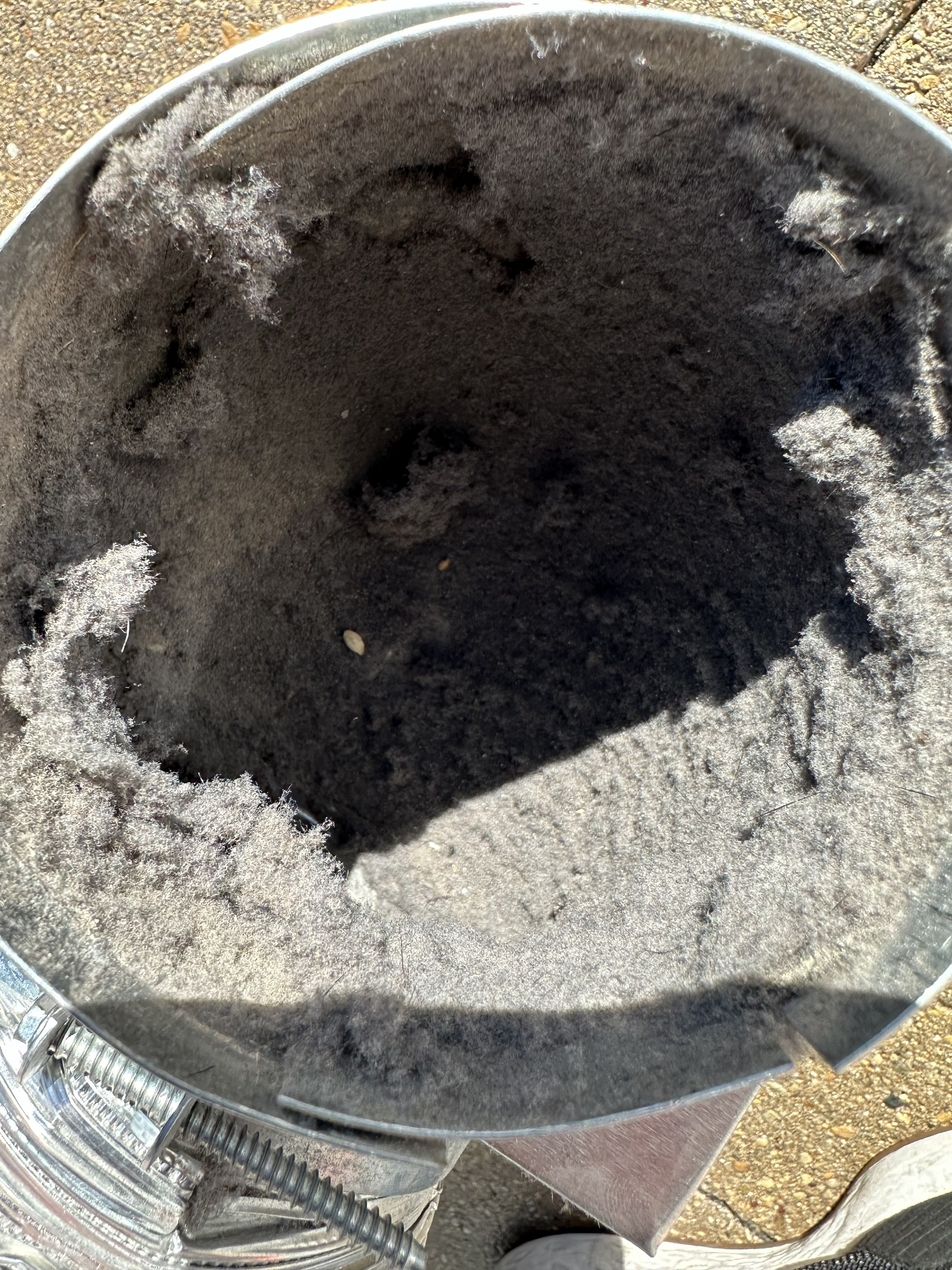 Interior dryer vent before cleaning. Not great.